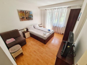 Maja Vujković Apartman 1